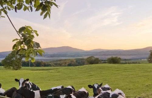 Fleet View - Foto 57