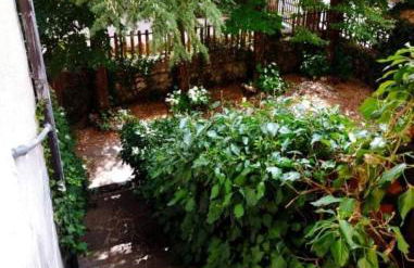 La Stella Alpina - Photo 21