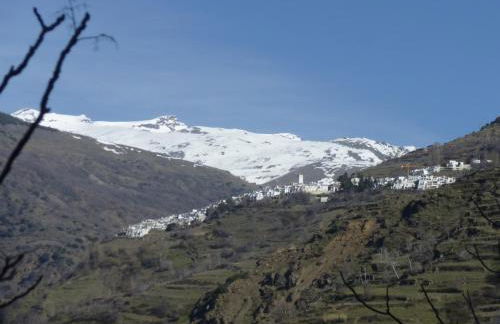 Casa Josefa - Foto 22