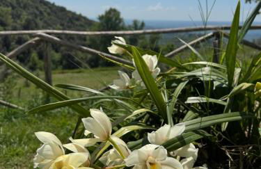 Casa Franceschini - Foto 24