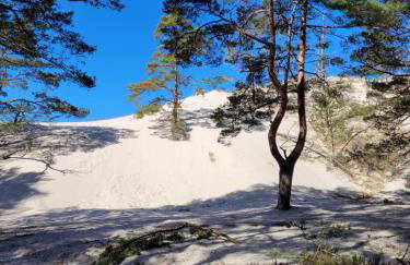 Apartamenty Morska 92 - Foto 53