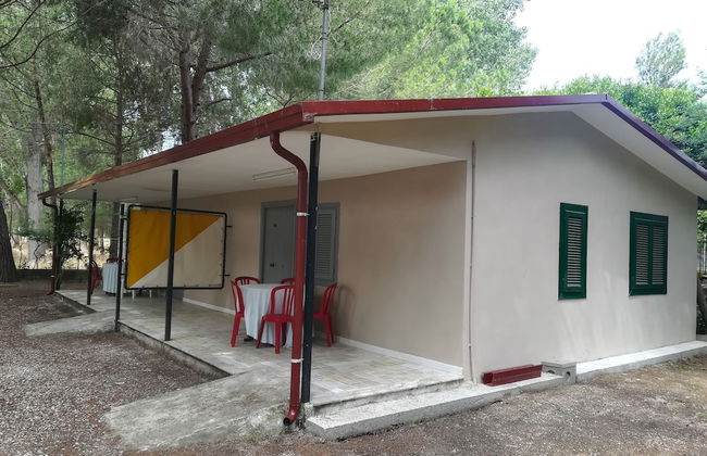 Parco delle Viole - Foto 1