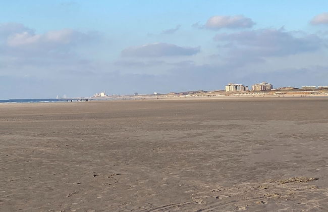 Coastal Apartment Near Dunes - Photo 24