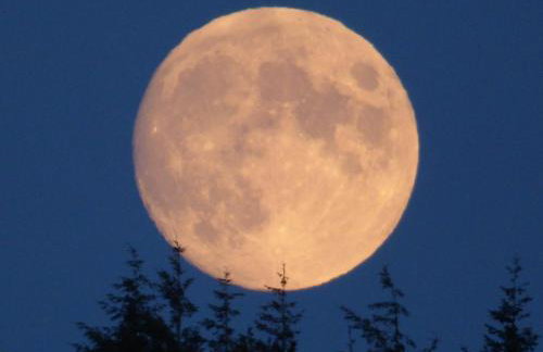 Hunters Moon B&B - Foto 10