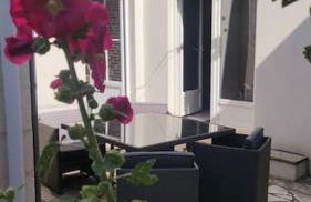 2 pas de la mer sans vis à vis - Foto 3