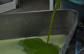 Agriturismo "Antico Frantoio" - Photo 39