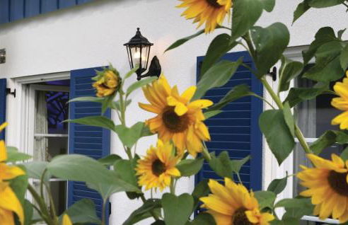 Ferienhaus 33 Altefähr - Photo 9