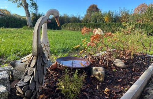 Ferienhof Morich - Urlaub auf dem Bauernhof im Harz - Foto 9
