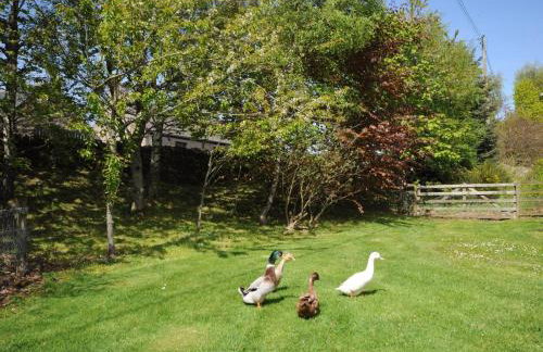 3 Bed in Huntly oc-57368 - Foto 19