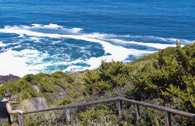 Punta Curiñanco Tour - Photo 1