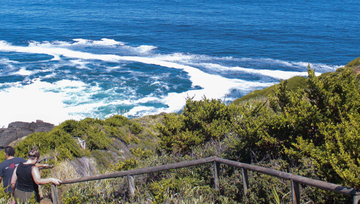 Excursión a Punta Curiñanco