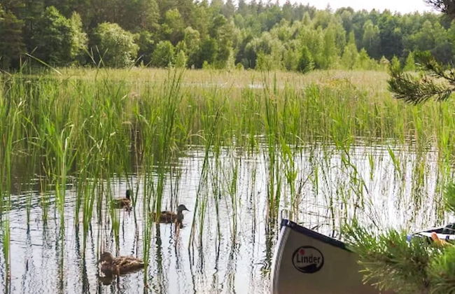 4 Person Holiday Home in Granna-by Traum - Photo 27