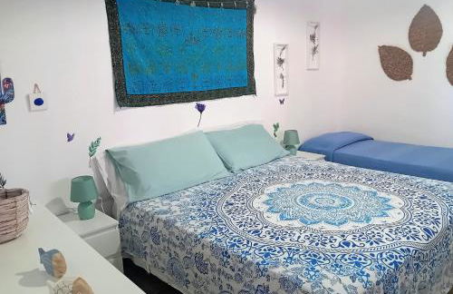 Mare Sole Vento 38 Punta Prosciutto - Foto 12