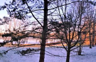 Ruhiges Apt. direkt am Naherholungsgebiet mit Seeblick, Zentrum 5min, Messe 18min - Foto 14