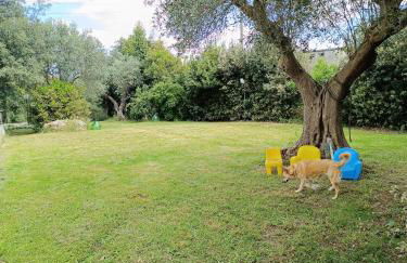 Trullo Galeotto - Foto 37