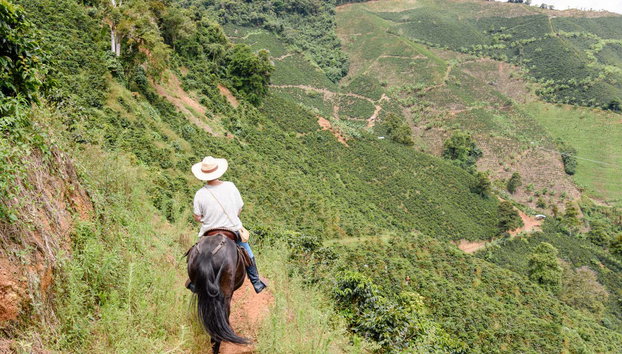 Paseo a caballo por los cafetales de Salgar - Foto 3, Disfrutando del paseo a caballo por los cafetales de Salgar