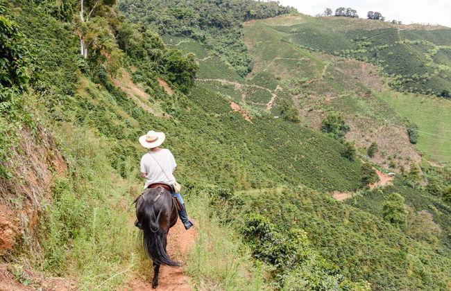 Paseo a caballo por los cafetales de Salgar - Foto 3