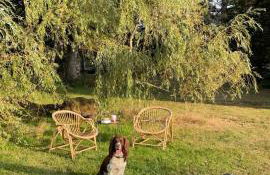 Gite de la Villa Bois Chaumont - Foto 20