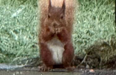 Westmains Lodge - Foto 22