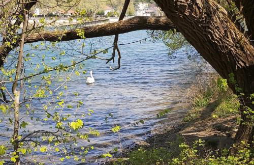 Charmant Studio sur cour à LYON 9e Mont d'or - Foto 29