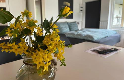 foresthaus - Foto 47