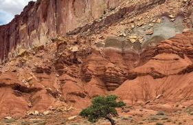 Bryce’s Zion House by Bryce Canyon National Park! - Foto 46