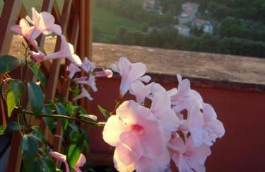 Casa Vacanze Palazzo Primoli - Foto 15