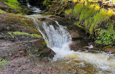 Bumble Cottage in Sedbergh - Foto 45