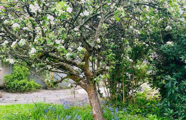 The old Manor House - Foto 34