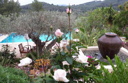 Can Pardal - Foto 25