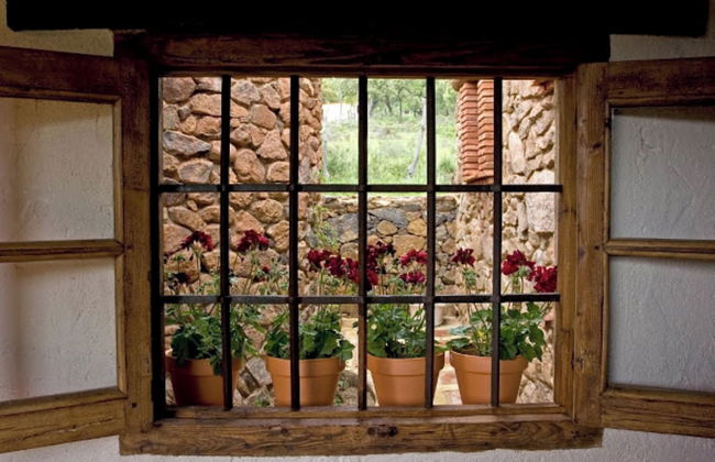 Molino Rio Alajar - Photo 73