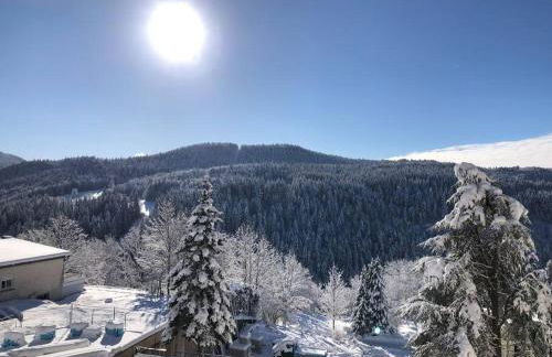 Charmant Appart' du Haut-Jura - Foto 24