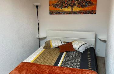 L'OBIONE, maison centre ville - Photo 13