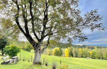 Heavenly Loft Allgäuer Fillebänkle - Foto 13