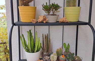 Villa Grasta, Nuova Esclusiva con Piscina - Foto 42