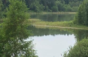 Wilaneska Prośno - Foto 48