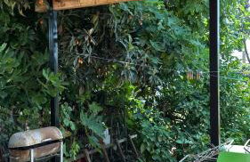 Todos home - Foto 13