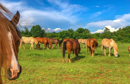 Apartment Ana by Interhome - Foto 105