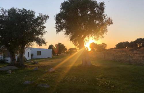 Casa do Vale da Terra Negra - Foto 13