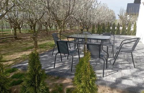 Domki w Winnicy - Świętokrzyska Winnica Knapów - Foto 24