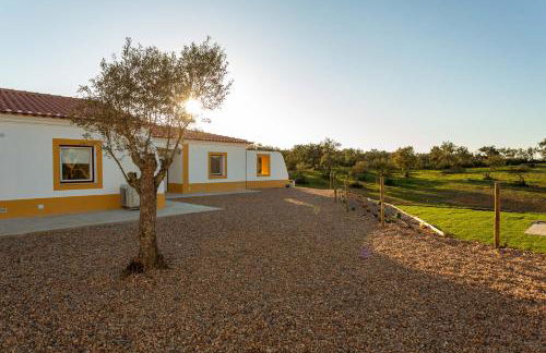 Cerro da Campaniça - Foto 28