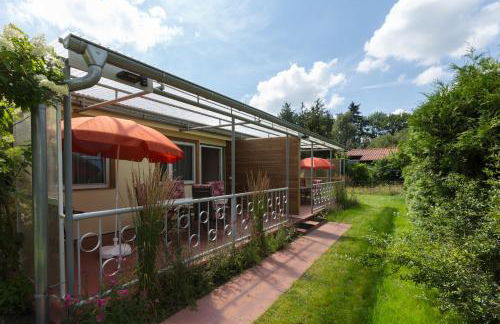 Ferienhaus Zauneidechse im Sternenpark - Foto 14