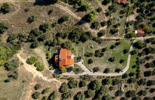 Olive stone Villa - Foto 77