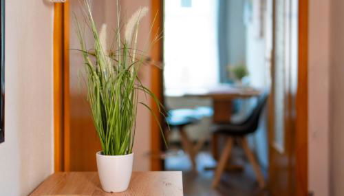 Ferienwohnung Cordula - Foto 2