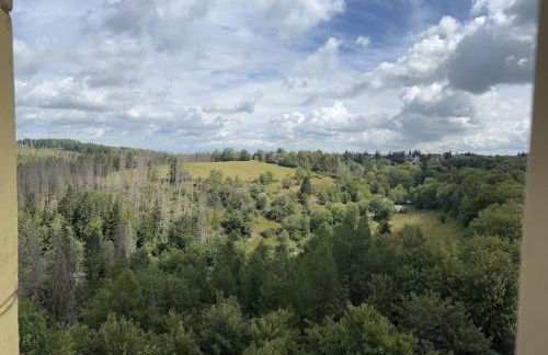 Penthouse - Panorama Suite - Hohegeiß - Foto 29