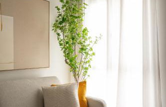 Cituspace Sandoval - Foto 10