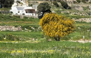 Little House On The Prairie - Foto 35