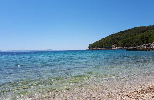 Robinson My dream - Foto 21