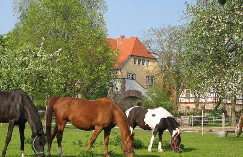 Gutshaus von Bismarck - Foto 6