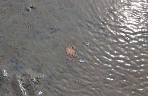 Apartment Landskron by Interhome - Foto 33